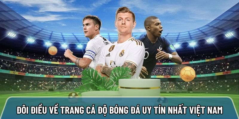 Đôi điều nổi bật về trang cá độ bóng đá uy tín nhất việt nam